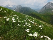 Anello MONTI VINDIOLO - VETRO - PASSO LAGO BRANCHINO salendo da ZORZONE-PIAN BRACCA in VAL VEDRA) - FOTOGALLERY
